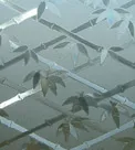 Assam Office Anti-Glare Film